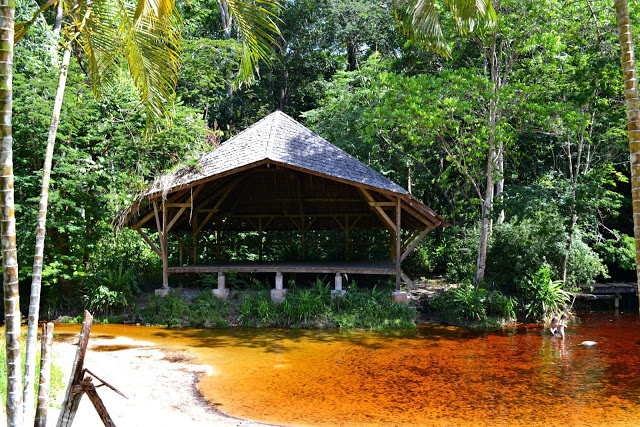 Réhabilitation des criques de Guyane