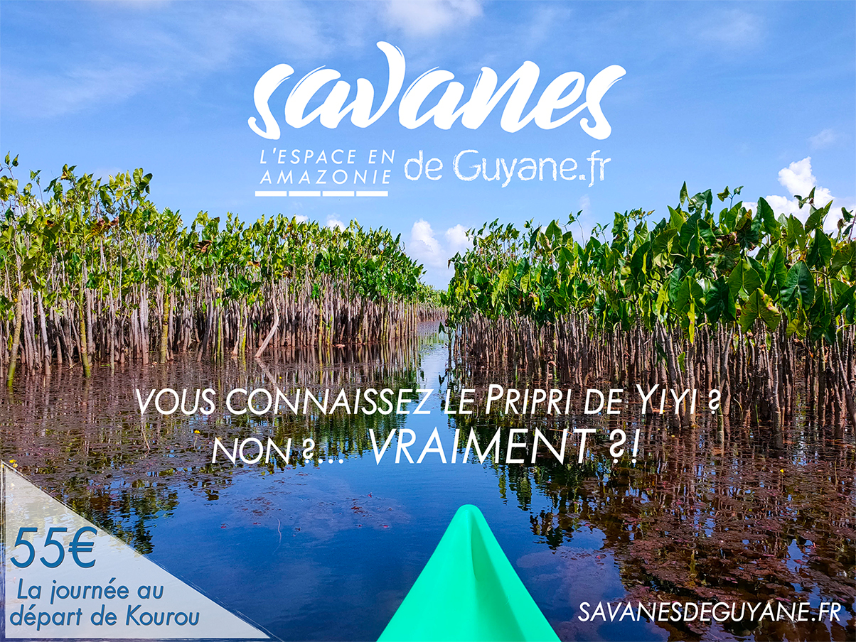 Deroulement D Une Journee Sur Le Pripri Yiyi Ccds Communaute De Communes Des Savanes Deroulement D Une Journee Sur Le Pripri Yiyi Ccds Communaute De Communes Des Savanes