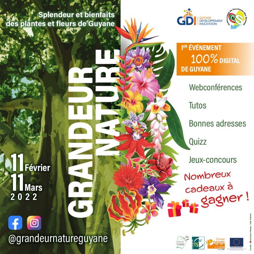 Splendeur et bienfaits des plantes et fleurs de Guyane