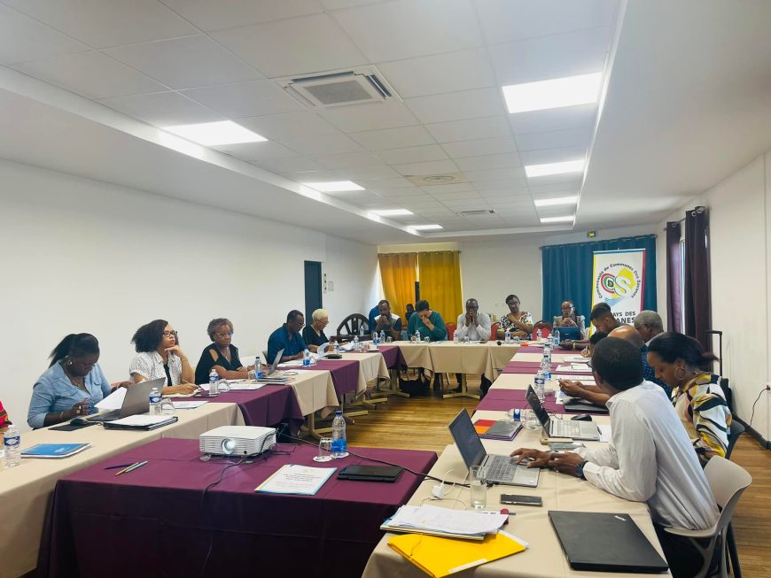 Séminaire sur le développement économique de la CCDS