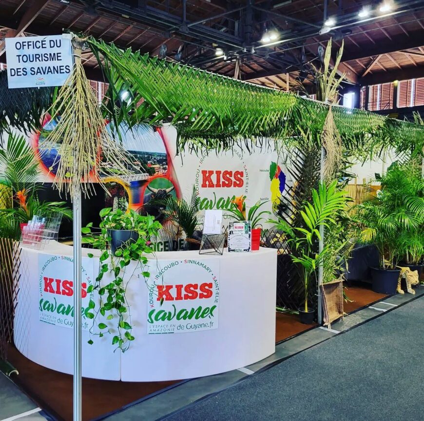 DEMANDE DE DESIGNATION DE PROFESSIONNELS AU CODIR OTIS